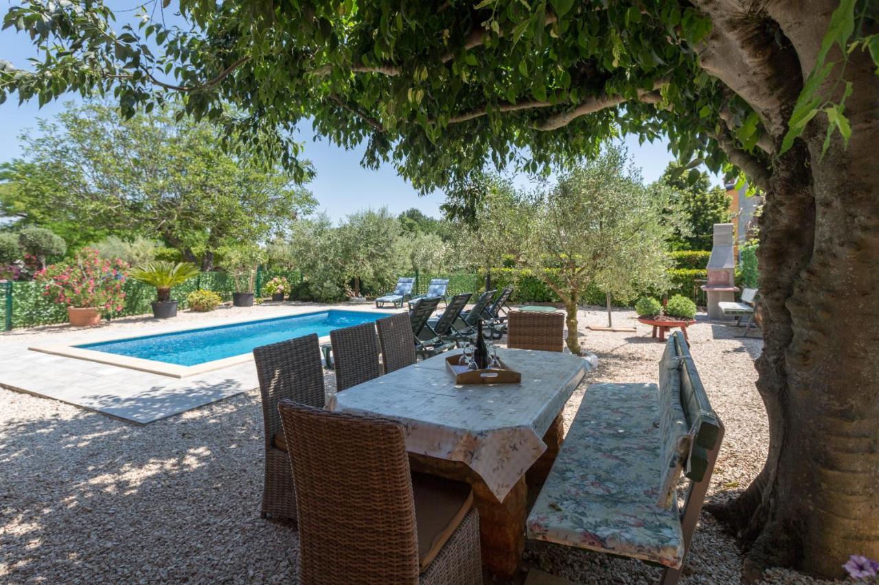 Villa Lucky Brtonigla Extérieur photo